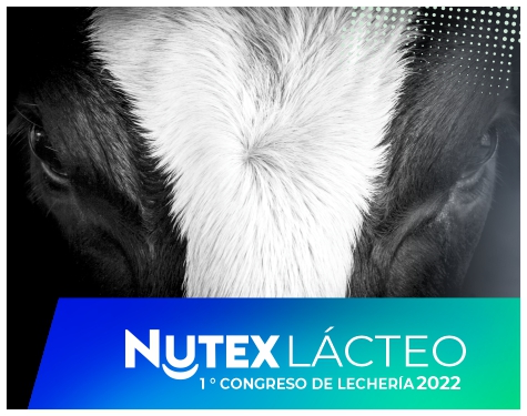 NutexLácteo